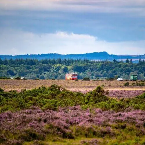 cadnam