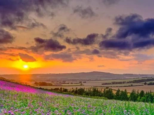 eastmeon